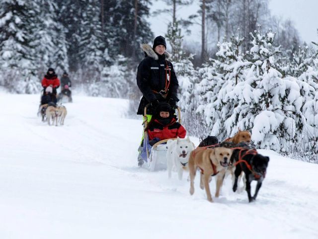 Winterreis Finland - Arctic Lakeland