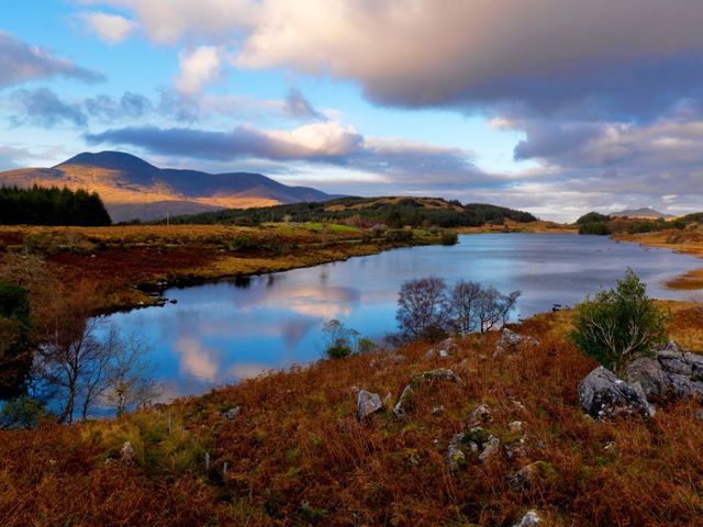 DFDS Seaways en Irish Ferries, 13-daagse rondreis Adembenemend Ierland - vakantiewoningen