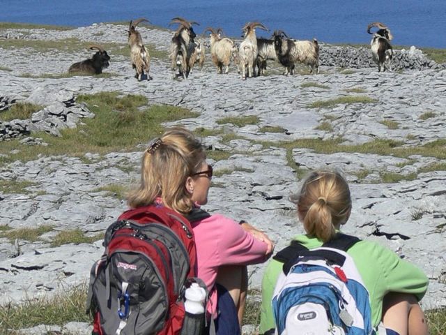 The Burren & Aran Islands Wandeltrektocht vanaf Groningen