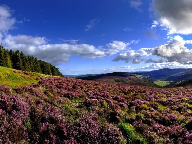 Inns autorondreis Hoogtepunten van Zuidoost-Ierland