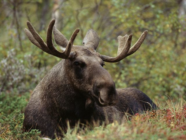 Autorondreis Ontdek Zweden