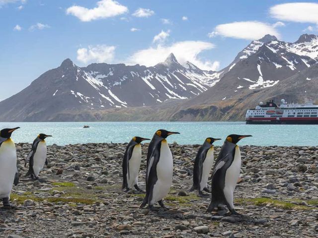 2024/25 Ultieme Hurtigruten expeditie naar Antarctica, Falkland eilanden & South Georgia