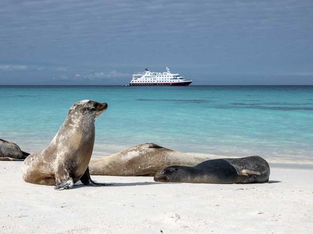 2024/25 Hurtigruten expeditie Galapagos - In de voetsporen van Darwin