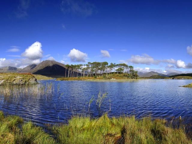 Westkust & Dublin - combinatie van stad en natuur