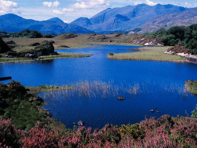 Inns autorondreis Hoogtepunten van Zuidwest-Ierland