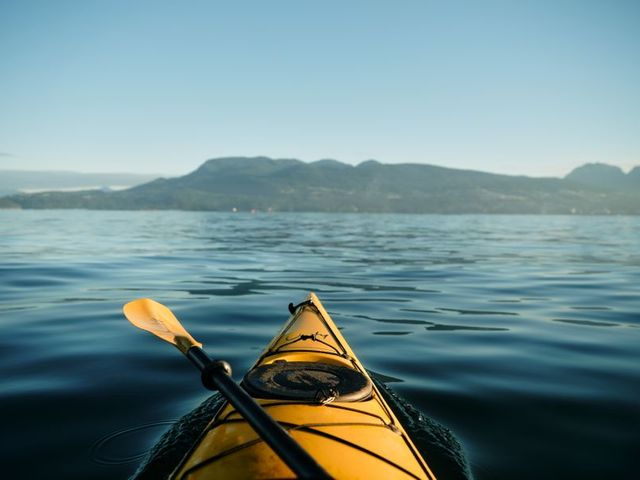 Kajaktour Whales & Grizzly Bears op Vancouver Island