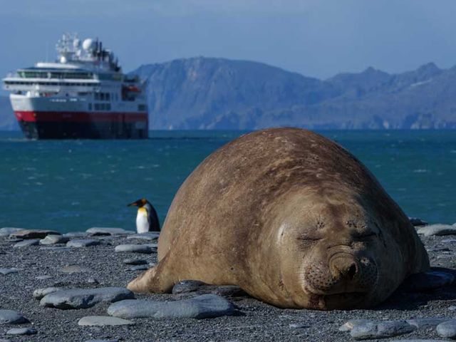 2024 Hurtigruten Lente expeditie Antarctica, South Georgia & Falkland Eilanden