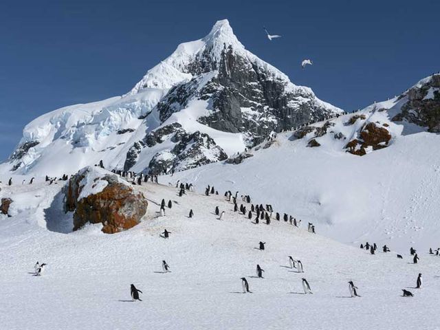 2025 Hurtigruten Zuidpool expeditie Antarctica