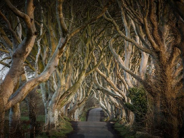 Autorondreis Game Of Thrones Noord-Ierland