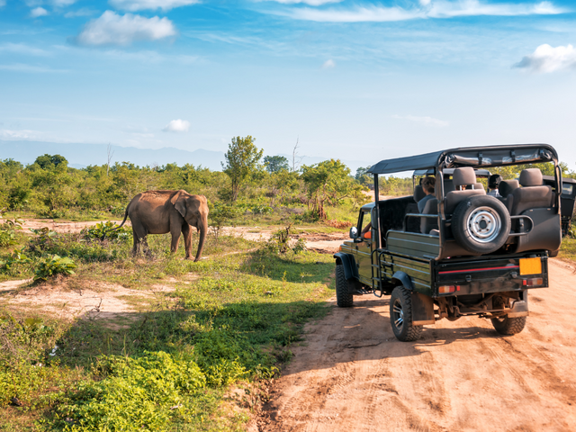 Zuid-Afrika Safari & Mauritius