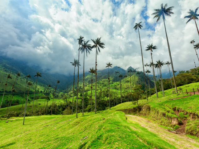 Colombia & Panama