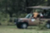 Dieren spotten vanuit de safari jeep