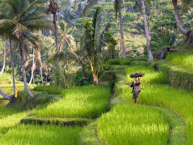 Familie groepsreis Bali