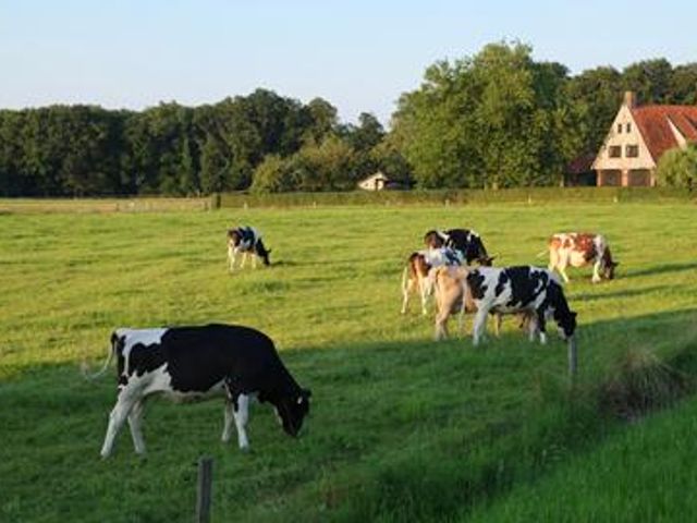 7 daagse Fietsreis Overijssel & Duitsland