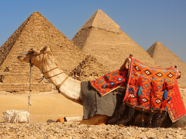 10-daagse groepsrondreis de Schatten van Egypte - t/m maart 2025