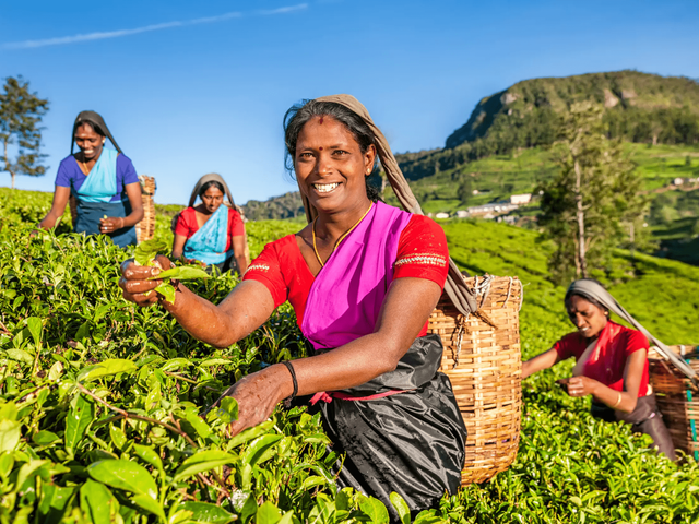 21-daagse groepsrondreis Schatten van Sri Lanka - t/m maart 2025