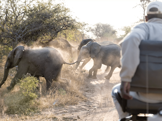 16-daagse privérondreis Grandioos Zuid-Afrika met huurauto - vanaf april 2025