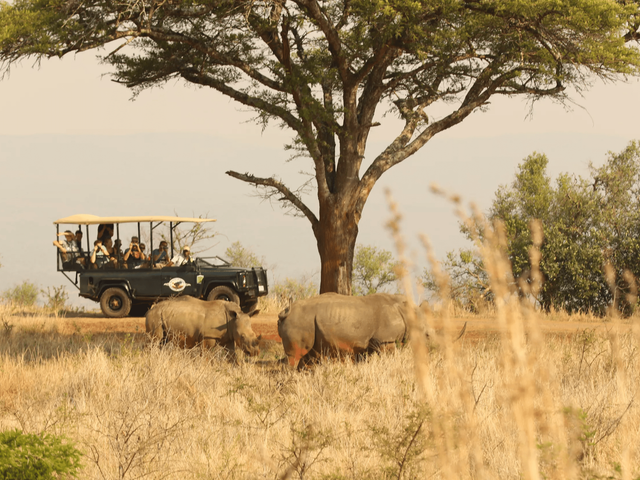 15-daagse privérondreis Hoogtepunten van Zuid-Afrika met huurauto vanaf April 2025