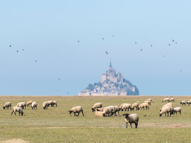 Wandelvakantie Bretagne | Better Places