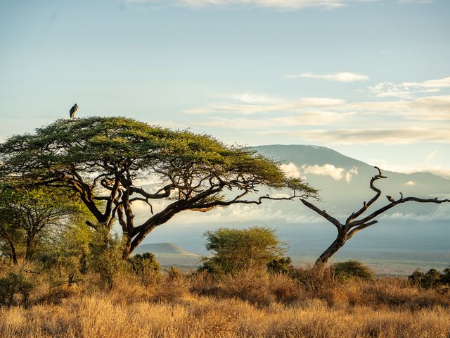 18 dagen Kenia safari en strand: zo heb je veel van alles