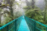 Hangbrug in Monteverde NP