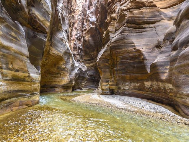 12 daagse singlereis Betoverend Jordanië