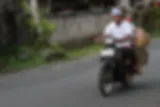 scooter bali