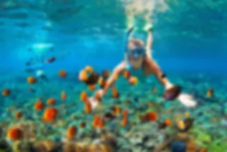 Snorkelparadijs: Bahama’s