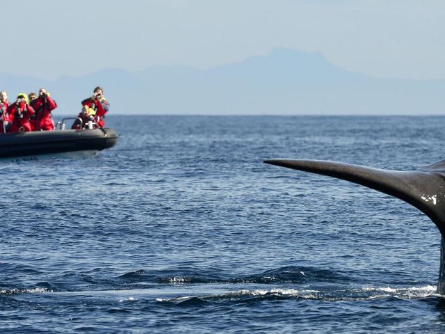 Dwars door Lapland en fjorden