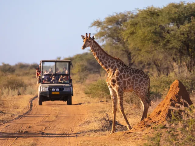 Tanzania op het gemak