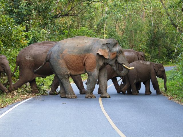 Groepsreis Authentiek Thailand - van Bangkok tot Bergstammen (vanaf april 2027)