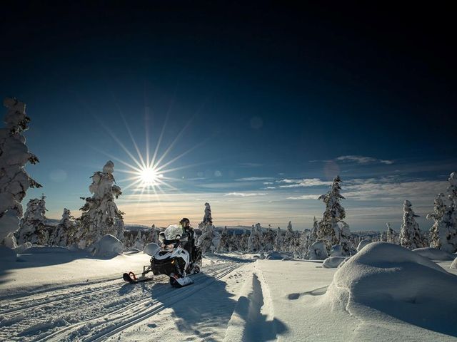 5 daagse excursiereis Kieppi Wilderness Hotel