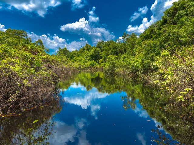 Groepsreis Brazilië inclusief Amazone - van Rio tot Regenwoud