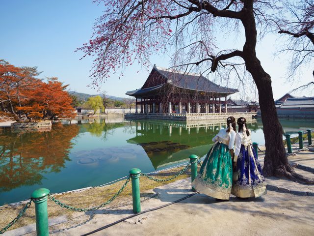 Singlereis Hart van Zuid-Korea