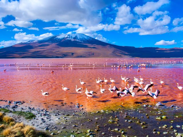 Groepsreis Peru, Noord-Chili & Bolivia - Mystieke Andeshoogvlaktes