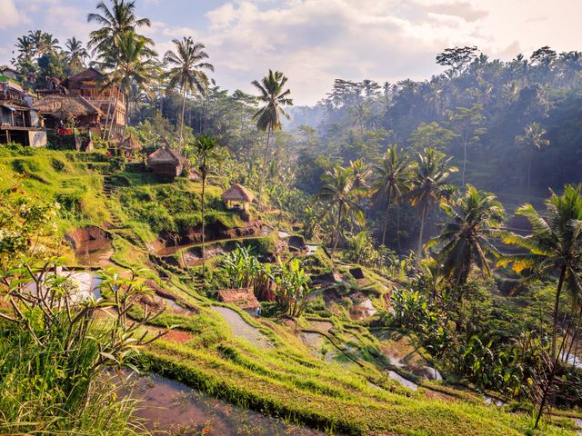 Rondreis Verliefd op Bali