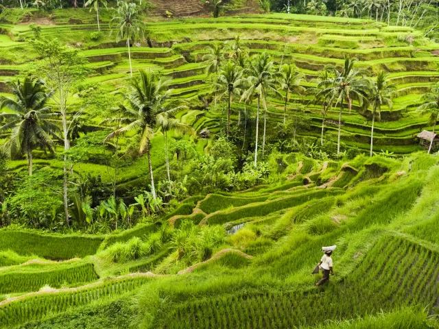Afwisselende reis naar Bali