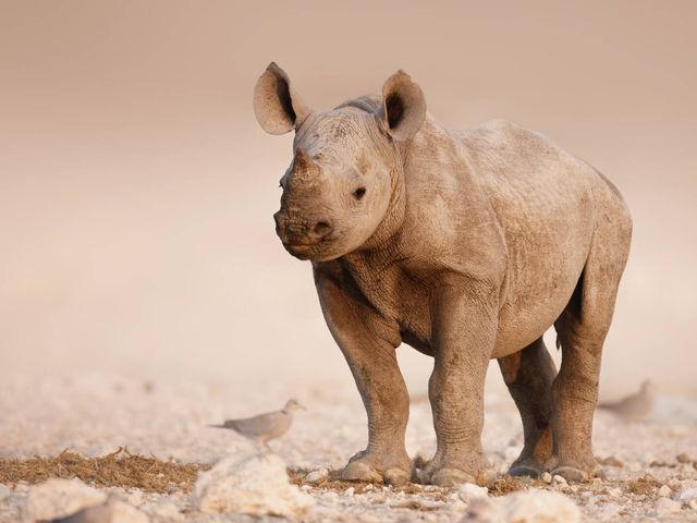 Reis door Namibië in 2 weken