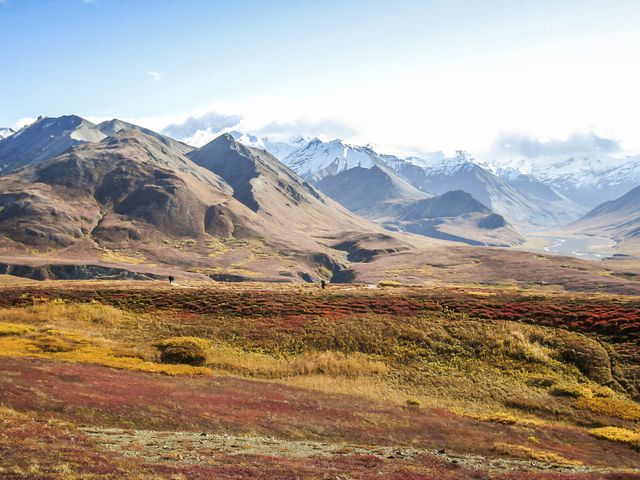 Rondreis door de ruige natuur van Alaska & Yukon