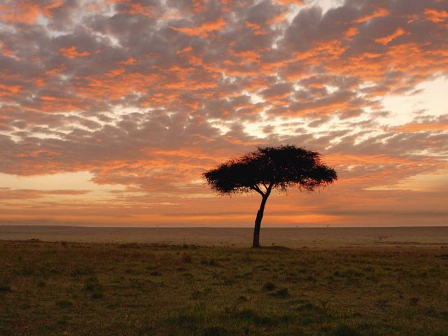Korte safarireis door Kenia in 9 dagen
