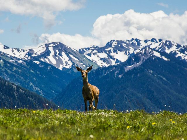 Rondreis door het natuurrijke Pacific Northwest
