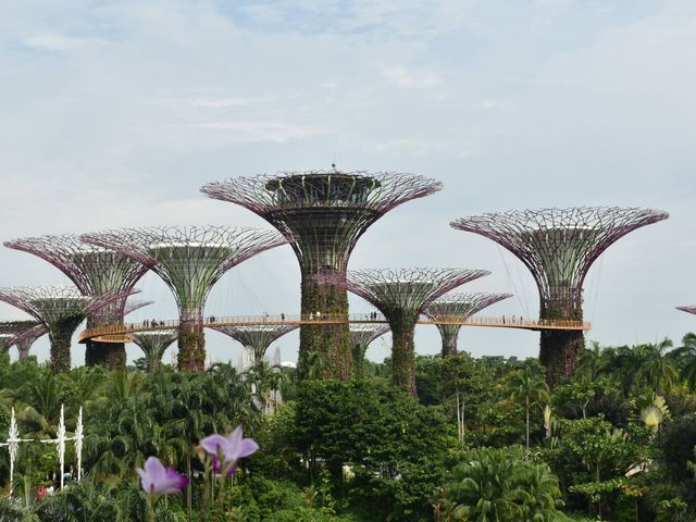 Reis naar Vietnam met stopover Singapore