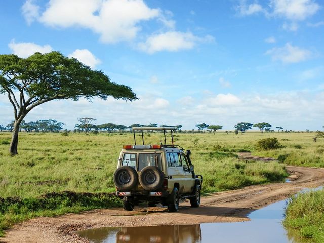 Safarireis Tanzania in 8 dagen