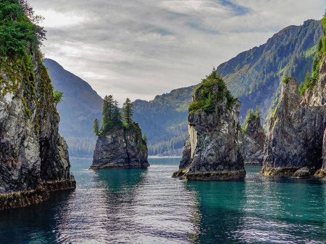 Rondreis door de nationale parken van Alaska