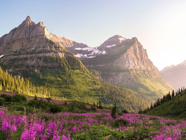 Reis door de ongerepte natuur van Noordwest-Amerika
