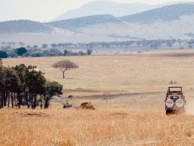 Rondreis Kenia & Tanzania: perfecte match