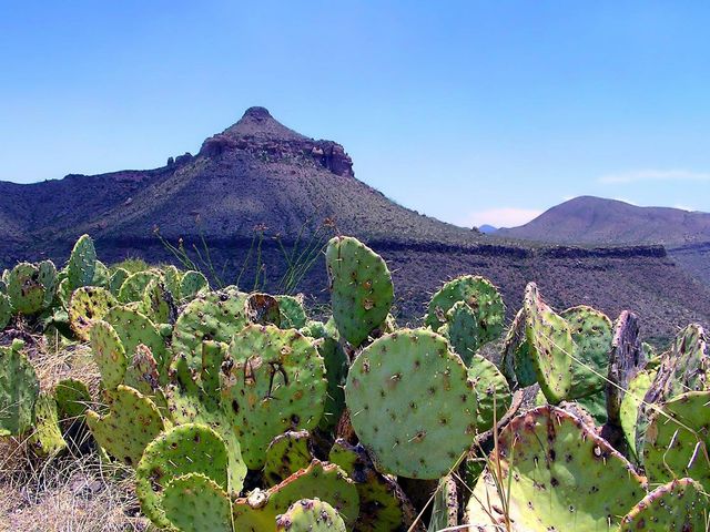 Reis door het wilde westen van Texas