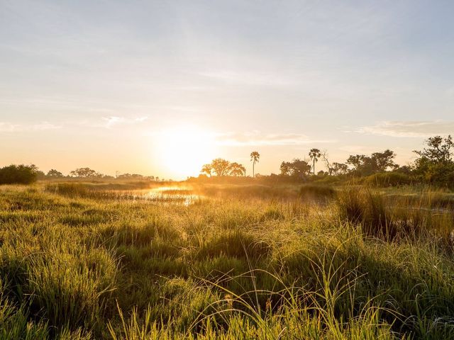 Rondreis Namibië & Botswana: perfecte match