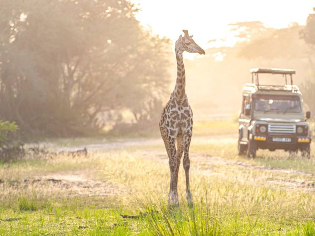 Safarireis door de wildparken van Zuid-Afrika