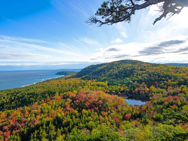 Rondreis door het charmante New England